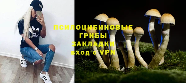 Альфа ПВП Елабуга