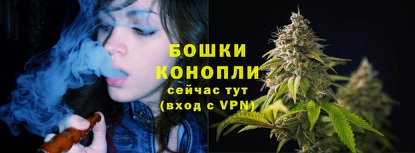 мескалин Ельня