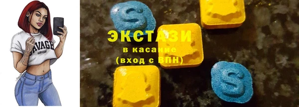 гидра Елизово