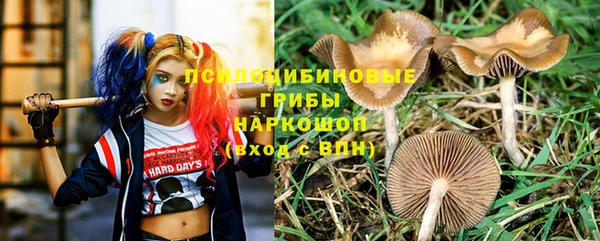 мет Заводоуковск