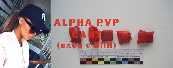 гидра Заволжье