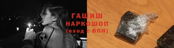 гидра Елизово