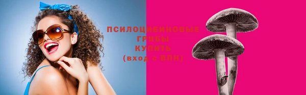 гидра Елизово