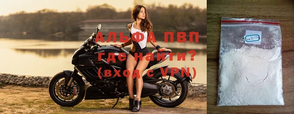 гидра Елизово